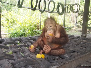 Ryan sampling fruit ice