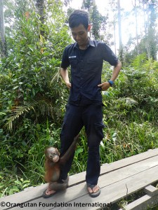 Orangutan Charlie and Staff