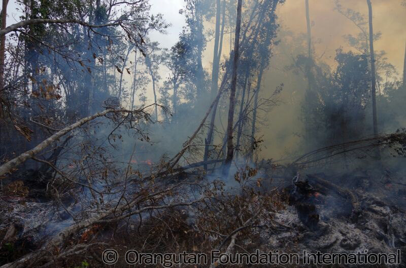 Smoke kalimantan