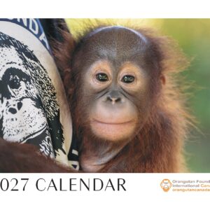 Limited Edition 2027 Orangutan Calendar